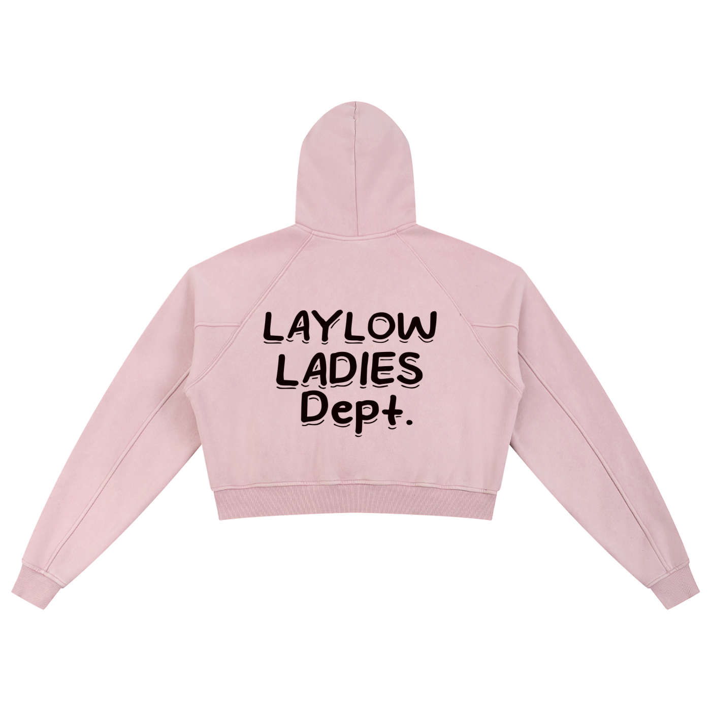 Snow Washed Cropped Hoodie
