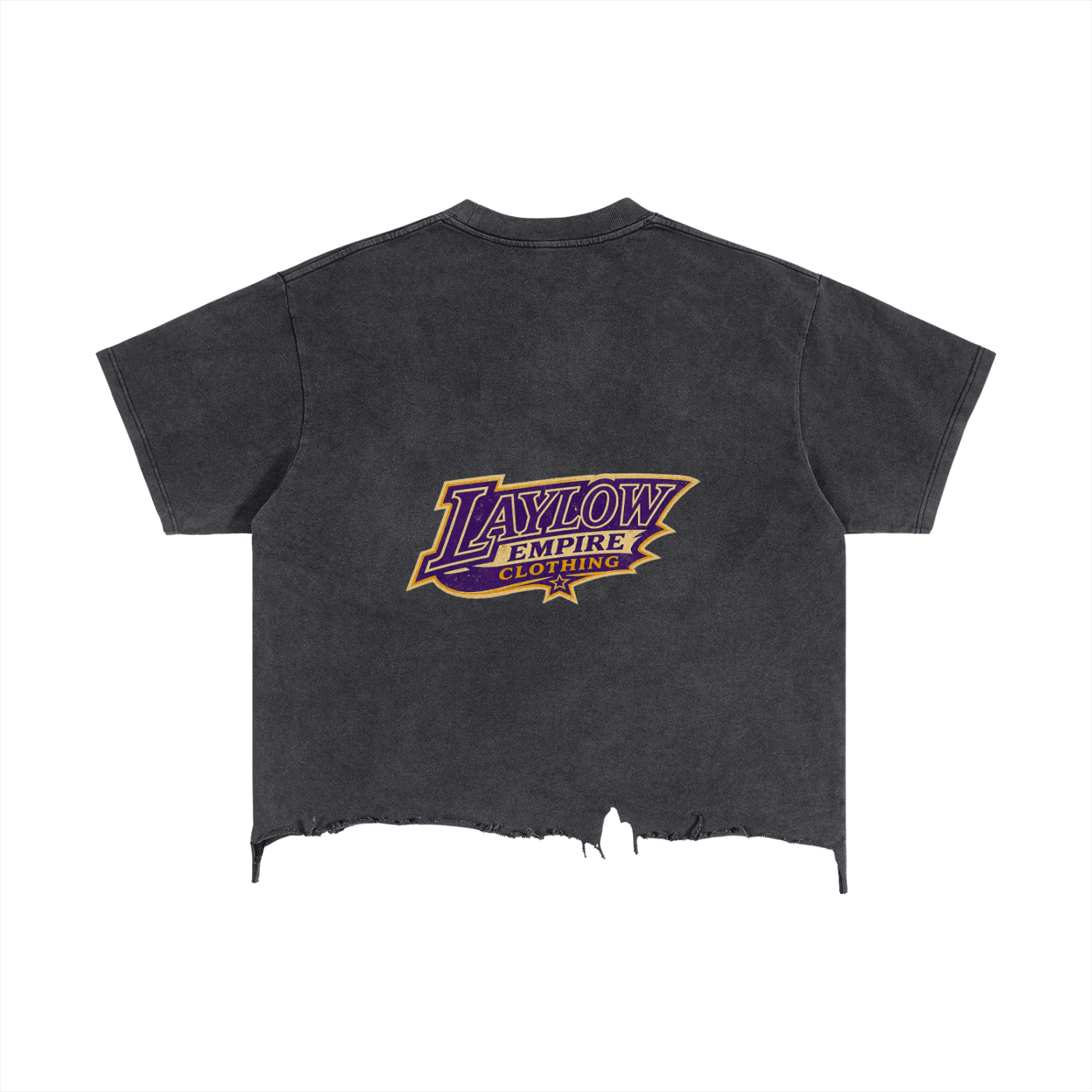 Vintage Wash Boxy Distressed Hem T-Shirt