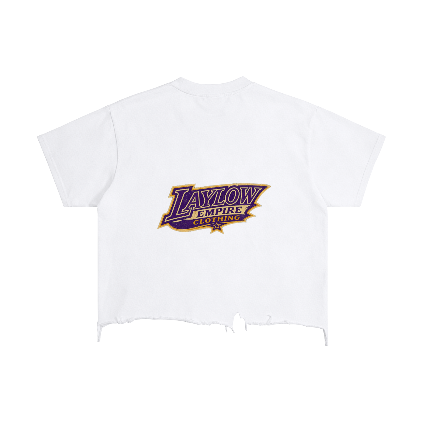 Vintage Wash Boxy Distressed Hem T-Shirt