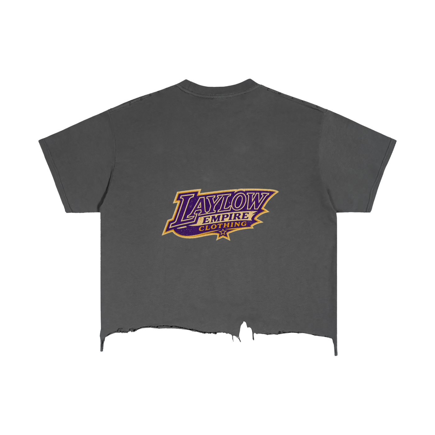 Vintage Wash Boxy Distressed Hem T-Shirt