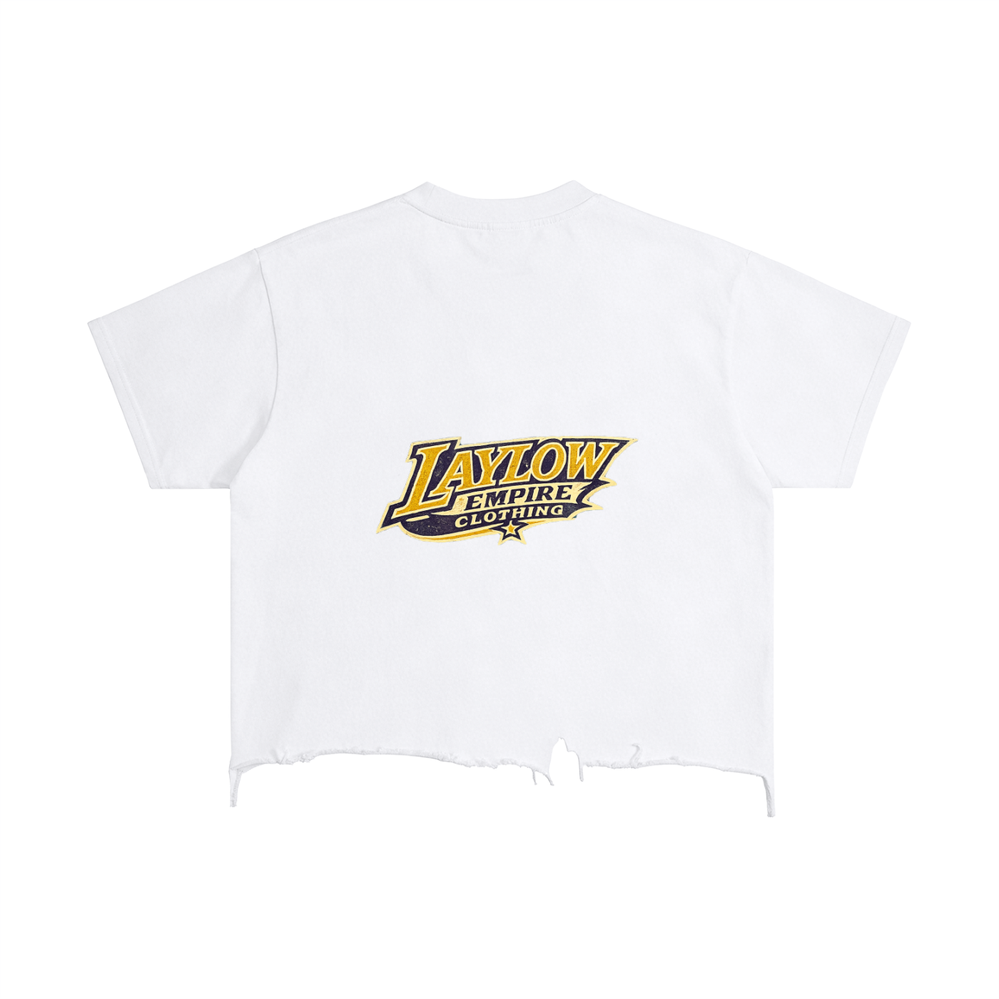 Vintage Wash Boxy Distressed Hem T-Shirt