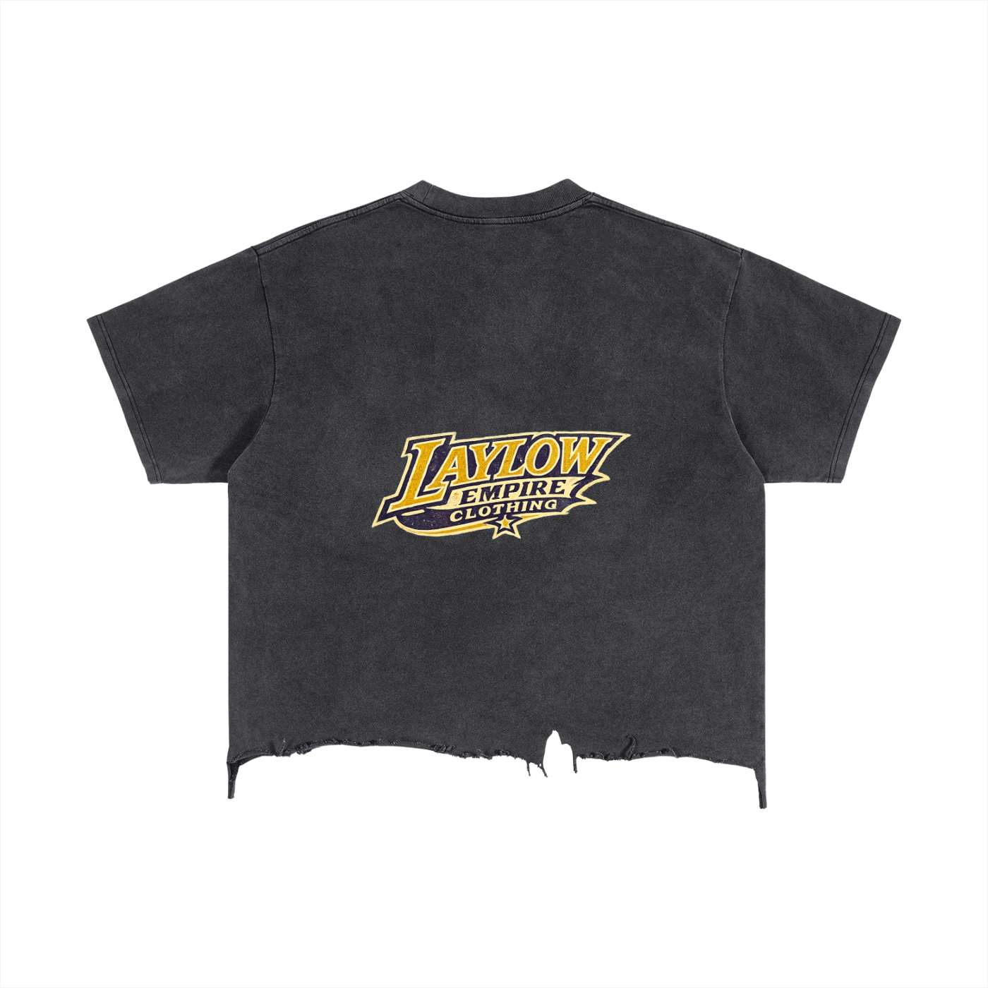 Vintage Wash Boxy Distressed Hem T-Shirt